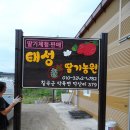 태성참딸기농원 이미지