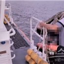 해양경찰서 앞 이미지