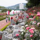 장미공원자전거대여소 이미지