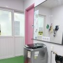 하이풀 스포츠 | [서울/은평] 은평구 수영장 ‘하이풀스포츠’