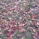 노래교실(월) 이미지