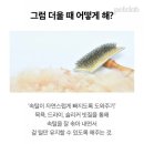 금정미용샵