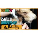 핑거(FINGER) 6 이미지