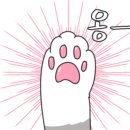 수빈네식당 이미지