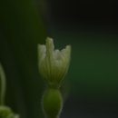 조암초등학교 이미지