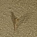 스트롱무브 | [푸꾸옥] 두짓프린세스 3박 후기 :: 객실 | 수영장 | 조식 | 프라이빗 해변 | 루나타이스파 | 샤워기필터