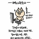 마시쩡 - 군포시 금당로115번길 2 | 마시쩡
