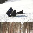 대호 이미지