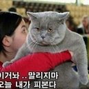오빠세차장 네이버블로그