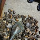 마검포레져하우스가족독채수영장 이미지