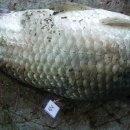 개미낚시터 이미지