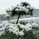 동방산소 이미지