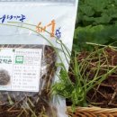 한아름농원 이미지