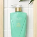 리얼발효