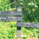 수골 농장 이미지