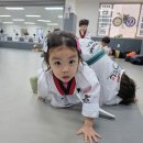 베스트 연세 태권도 이미지