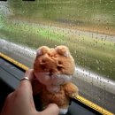 씨유 김해외동스타점 | 코코맘이 잡아준.. 데이식스 5기 팬미팅(PIER 10: All My Days) 플로어(F2) 후기