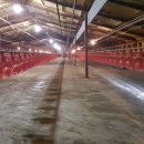 육계농장 이미지