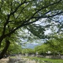 소석힐링캠핑장 | [경남/양산] 양산이 왜이리 좋아..