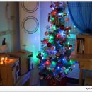 티라게스트하우스 이미지