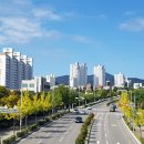 오전육교 이미지