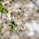 호암어린이공원1 이미지