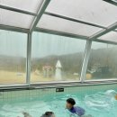 스테이 담아 이미지