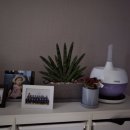 정한농원 이미지