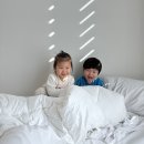 더아리웃집2 이미지