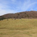 바위목장 이미지