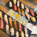 고래등횟집 | [목포 맛집] '고래등' 후기 : 최고급 퀄리티의 참치와 초밥이 먹고싶다면
