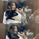 스테이 뭉구 이미지