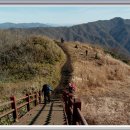 제 1,541차[12월16일] 전북 장수 장안산(1,237m)산행 이미지