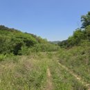 미현리농장 이미지