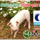 가나안 1호 농장 이미지