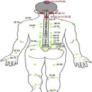 쑥뜸주요 경혈도(뒤) 이미지