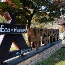 내장산국립공원 내장야영장 이미지