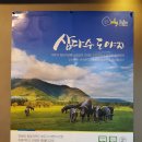 제주삼다수도야지