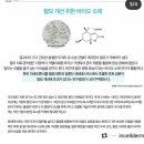 인셀덤 광주