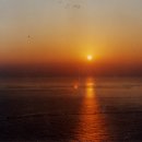 호산주유소 이미지