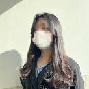 브로시스 이미지