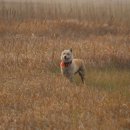 물만난고기 이미지