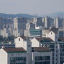 과천신도시 공인중개사사무소 이미지