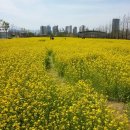 농림축산검역본부(식물검역기술개발센터) 이미지