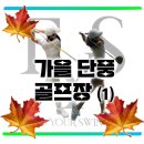 에프와이에스골프