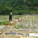 용진1농장 이미지