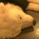 종일농장 이미지