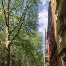 🇩🇪베를린 여행 2일차/ 베를리너처럼 돌아다니기(갤러리,편집샵, 베이커리, 오페라관람)