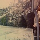 동굴왕족 이미지