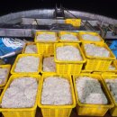 덕성호수산 이미지